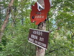 -白草畔自然风景区