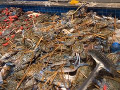 -一方渔歌蒸汽海鲜自助(文化路万达广场店)