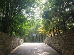 -苏州河梦清园环保主题公园