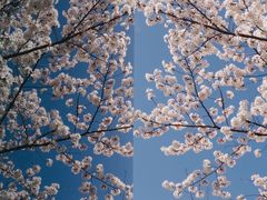 -龙美术馆(西岸馆)