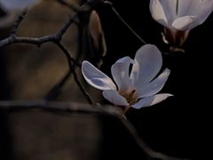 -无锡梅园公园