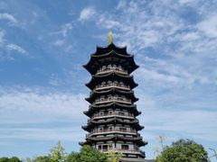 -洋湖国家湿地公园