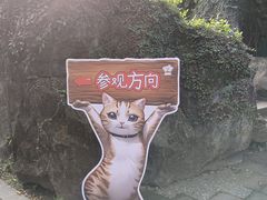 -广州兰圃