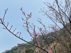 -小南山公园
