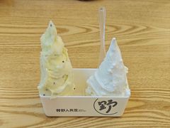 -野人先生Gelato(上海长宁龙之梦店)