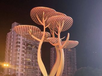 金橄榄广场