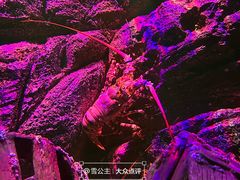 -暹罗海洋世界