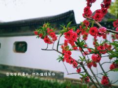 -北京大观园