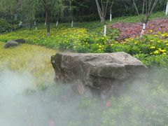 -重庆彩云湖湿地公园