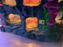 -上海昆虫博物馆