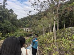 -世间香境·七溪地