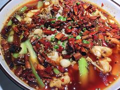 -雲蜀龙阁·金牌水煮鱼(方庄店)