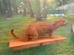 -下渚湖国家湿地公园科普馆