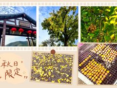 -长兴八都岕景区