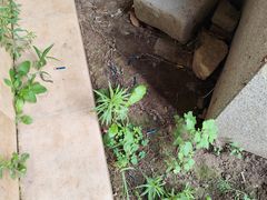 -秦皇岛阿尔卡迪亚滨海度假酒店