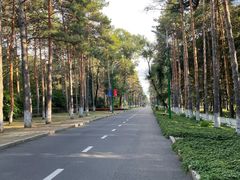 -黑龙江省森林植物园