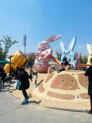 -季高兔窝窝亲子园(上海薰衣草公园店)