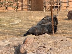 -郑州银基黄帝宫御温泉