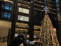 -行者书屋大堂吧 ·下午茶(南京圣和府邸酒店)