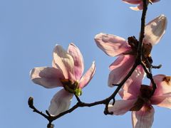 -浙江大学(玉泉校区)