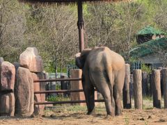 -沈阳森林动物园