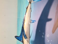 -贝林大翅鲸简餐厅(国家海洋博物馆店)