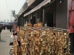 -中环花鸟鱼虫市场