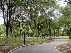 -新洲生态园