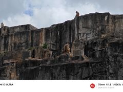 -海南热带野生动植物园