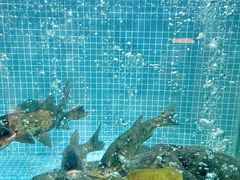 -小隐院子·庭院餐厅(大学城后湖店)
