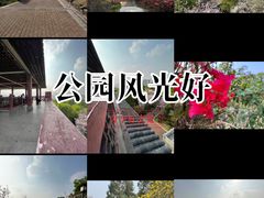 -四望岗公园