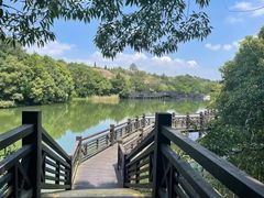 -白马涧龙池景区