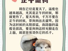 -贝利宠物医院·骨科·眼科·肿瘤转诊中心(南坪诊疗中心)