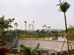 -枫香湖儿童公园