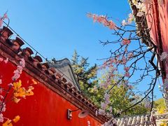 -潭柘寺景区