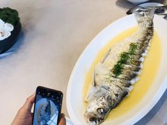 鸡汁江白鱼-名豪品鲜荟(云亭店)
