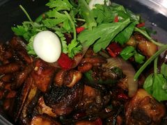 招牌香辣茶树菇鸡煲（大锅）-清真巴爷香辣鸡煲(秦州店)