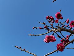 -北京明城墙遗址公园