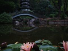 -深圳国际园林花卉博览园