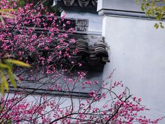 -八大山人梅湖景区