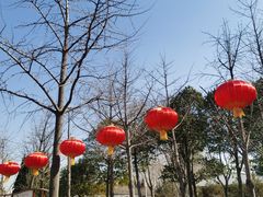 -郑州植物园