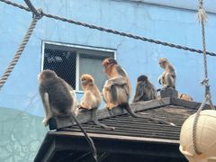 -大连森林动物园