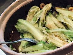 啫啫生菜煲-陶陶居酒家(海岸城店)