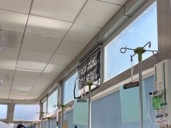 -中国农业大学动物医院