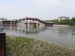 -西海子公园