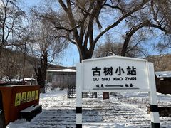 -北山公园