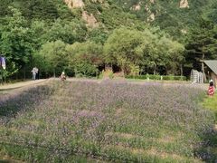 -云峰山自然风景区