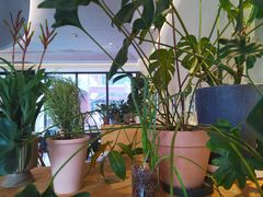 大堂-fishtank鱼缸咖啡(三山街店)