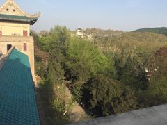 -武汉大学-樱园