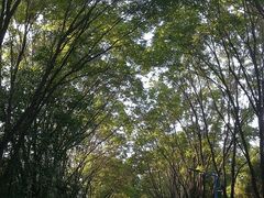 -森林公园(尖草坪区)